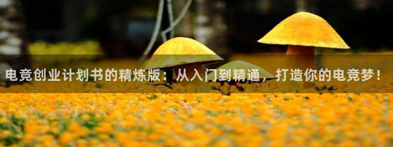 雷火电竞合法吗：电竞创业计划书的精炼版：从入门到精通，打造你的电竞梦！