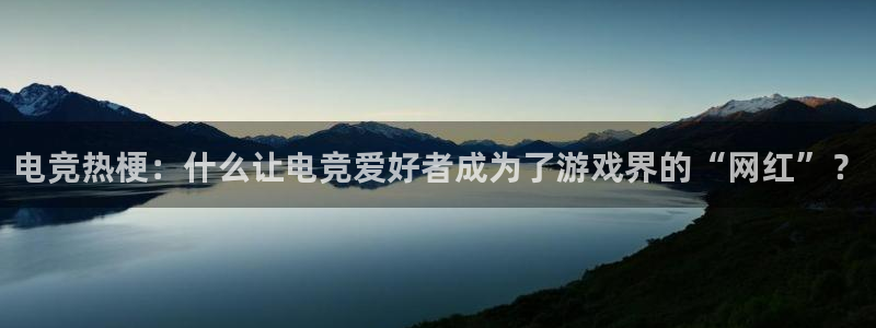 雷火电竞app官方网站：电竞热梗：什么让电竞爱好者成为了游戏界的“网红”？