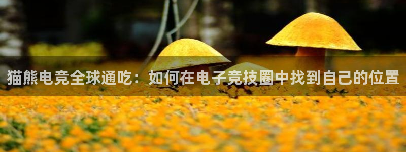 tf雷火电竞网页版
