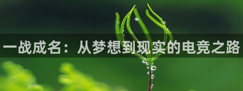 雷火电竞链接：一战成名：从梦想到现实的电竞之路