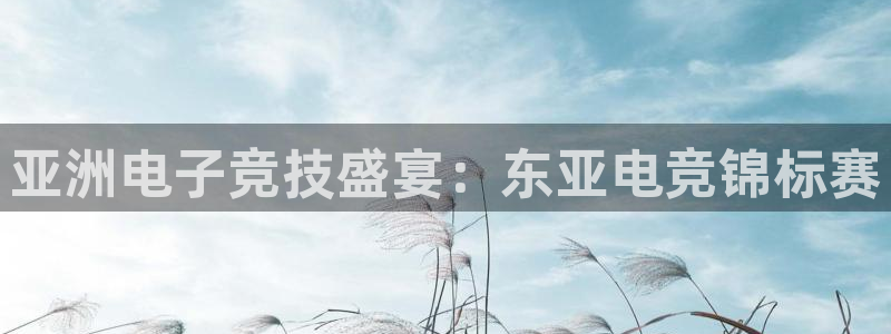雷火电竞下载：亚洲电子竞技盛宴：东亚电竞锦标赛