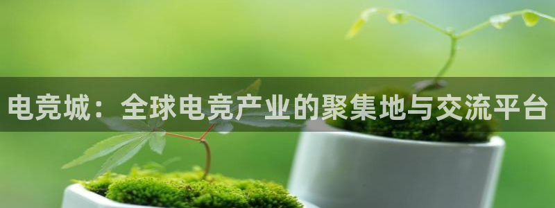雷火电竞：电竞城：全球电竞产业的聚集地与交流平台