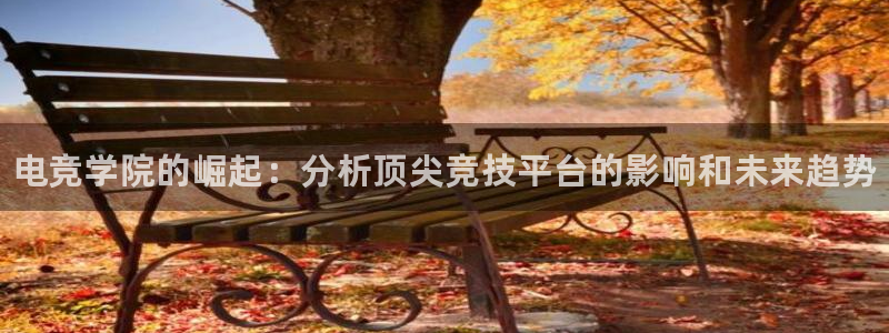 雷火电竞平台入口：电竞学院的崛起：分析顶尖竞技平台的影响和未来趋势