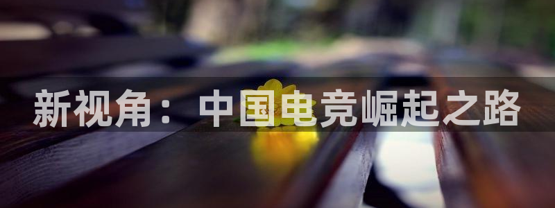 雷火电竞网站：新视角：中国电竞崛起之路