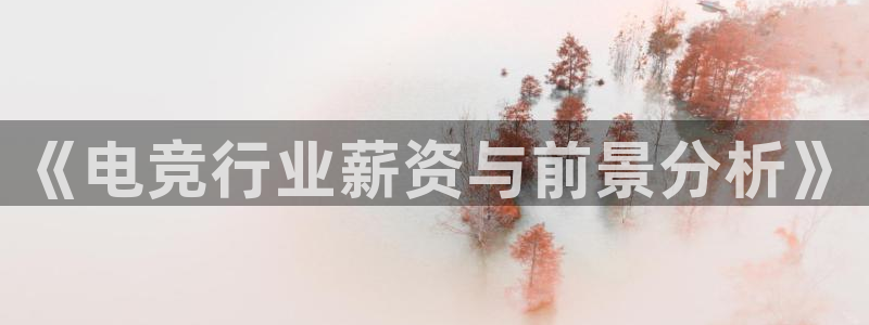 雷火电竞充值：《电竞行业薪资与前景分析》