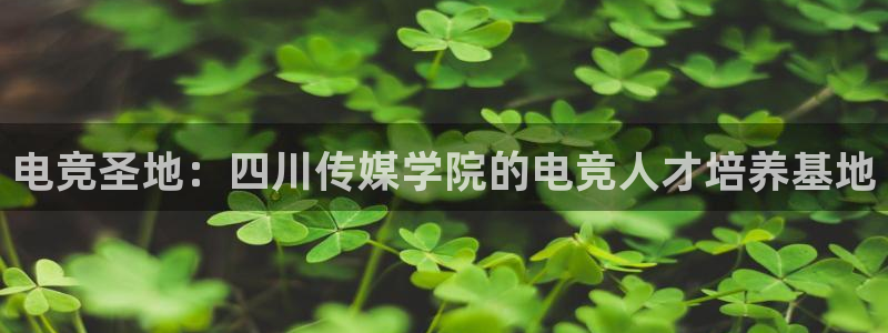 雷火电竞提款多久能到：电竞圣地：四川传媒学院的电竞人才培养基地