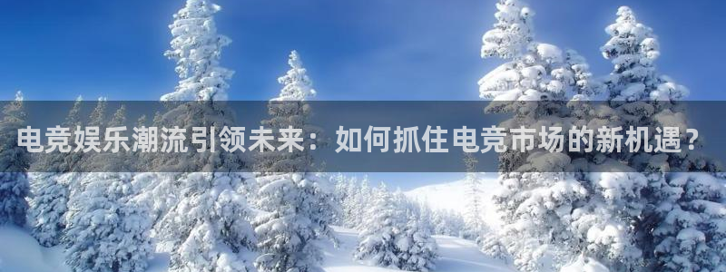 雷火电竞赏金赛赚钱版：电竞娱乐潮流引领未来：如何抓住电竞市场的新机遇？