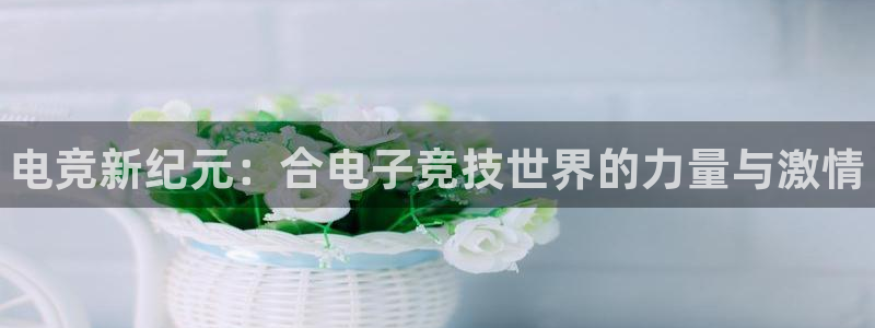 e8125雷火电竞：电竞新纪元：合电子竞技世界的力量与激情