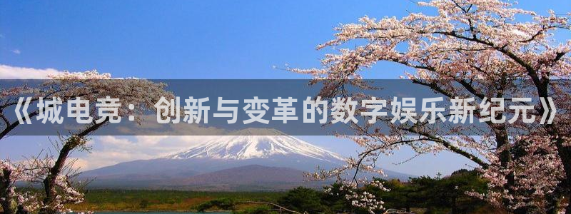 e8125雷火电竞：《城电竞：创新与变革的数字娱乐新纪元》
