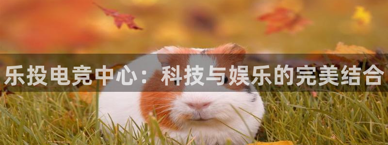 雷火电竞app下载：乐投电竞中心：科技与娱乐的完美结合