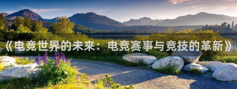 雷火电竞是干什么的：《电竞世界的未来：电竞赛事与竞技的革新》