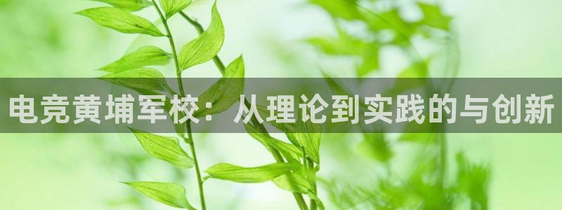 雷火电竞下载官网：电竞黄埔军校：从理论到实践的与创新