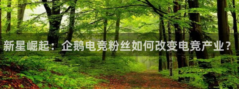 lh1153雷火电竞官网：新星崛起：企鹅电竞粉丝如何改变电竞产业？