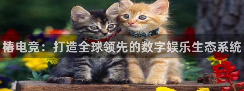 雷火电竞体育官网：椿电竞：打造全球领先的数字娱乐生态系统