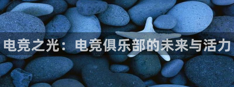 雷火电竞网站：电竞之光：电竞俱乐部的未来与活力