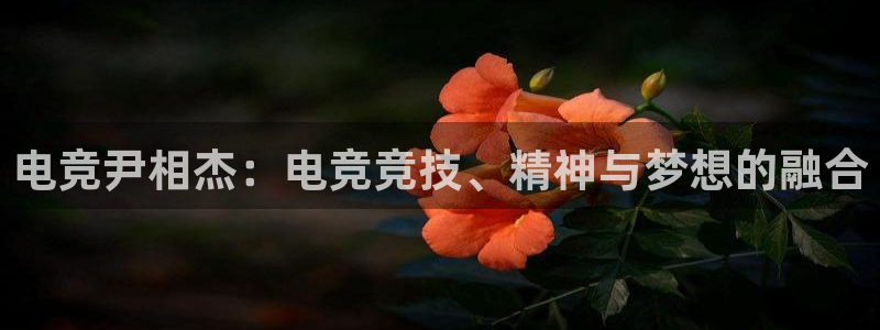 雷火电竞入口：电竞尹相杰：电竞竞技、精神与梦想的融合