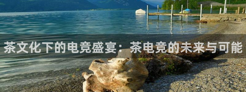 雷火电竞官网app下载：茶文化下的电竞盛宴：茶电竞的未来与可能