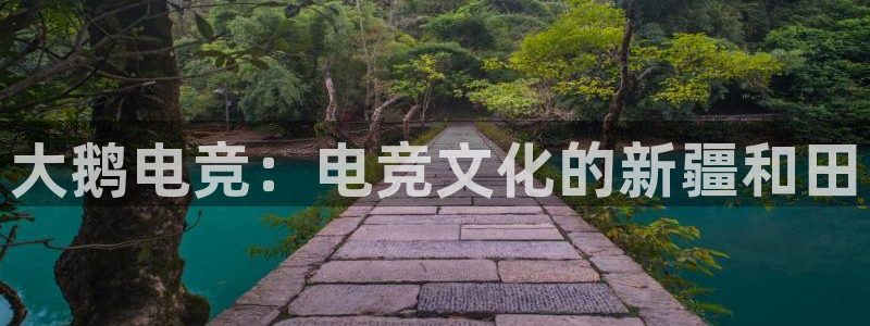 雷火电竞官网首页登录：大鹅电竞：电竞文化的新疆和田