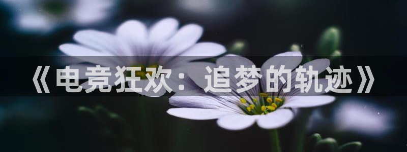 雷火电竞官网入口：《电竞狂欢：追梦的轨迹》