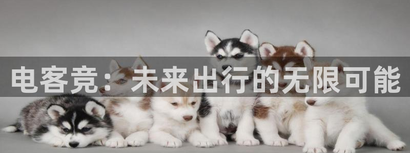 lh1153雷火电竞入口：电客竞：未来出行的无限可能