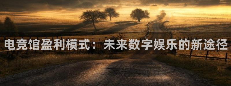 雷火电竞技平台：电竞馆盈利模式：未来数字娱乐的新途径