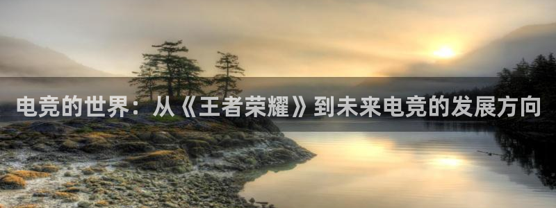 雷火电竞网站：电竞的世界：从《王者荣耀》到未来电竞的发展方向