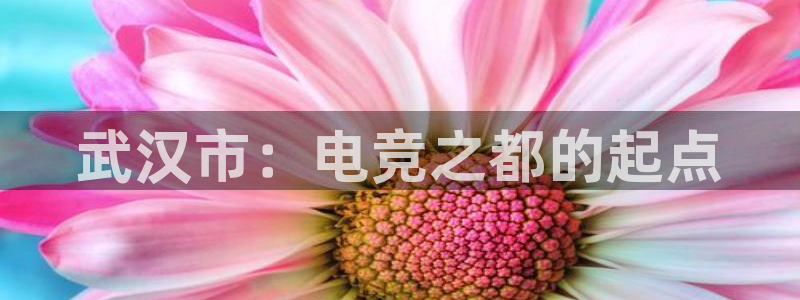 雷火电竞直播：武汉市：电竞之都的起点