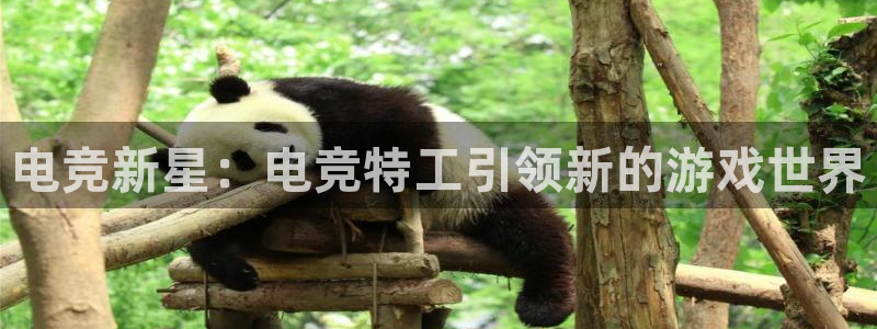 雷火电竞平台app下载：电竞新星：电竞特工引领新的游戏世界