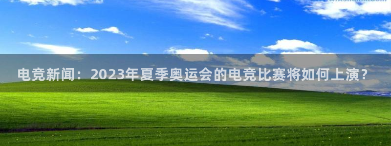 雷火电竞,亚洲电竞先驱：电竞新闻：2023年夏季奥运会的电竞比赛将如何上演？