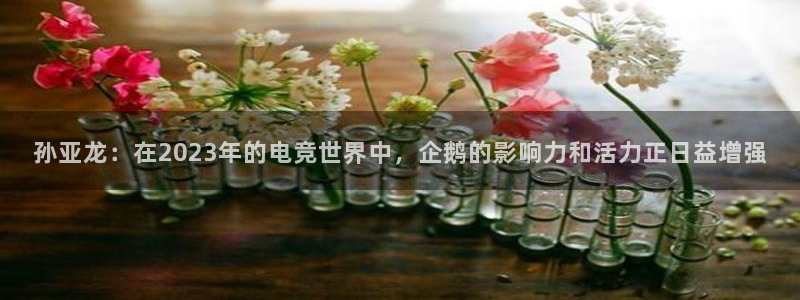 雷火电竞官网入口：孙亚龙：在2023年的电竞世界中，企鹅的影响力和活力正日益增强
